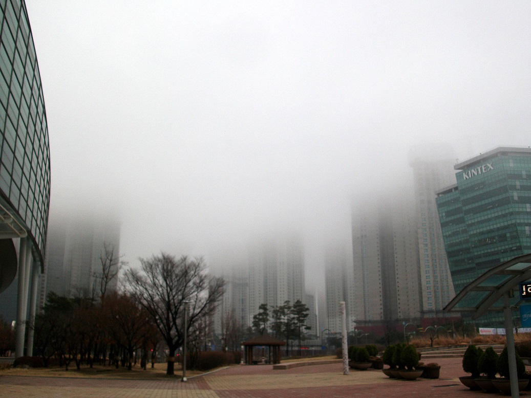 DSCF6145.JPG