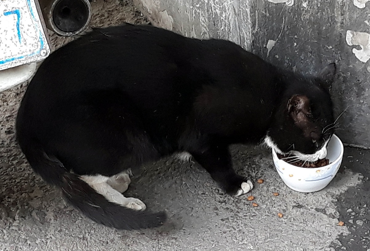 20180615_135745.jpg