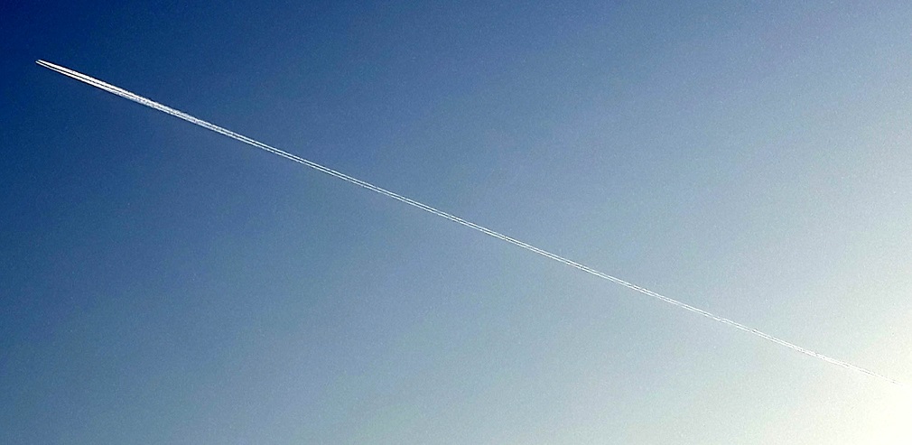 20181130_160601.jpg