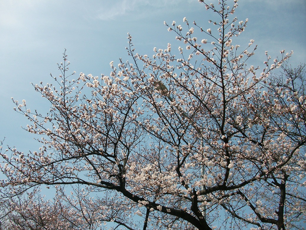 DSCF8474.JPG