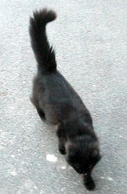 DSCF9034.JPG