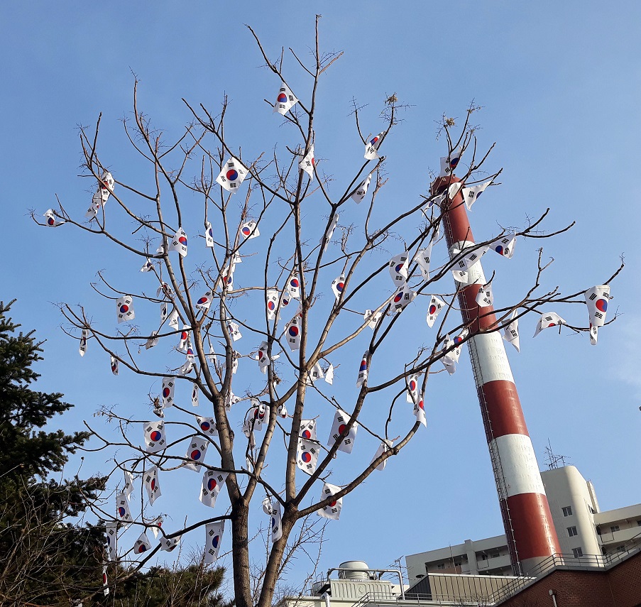 20190224_165719.jpg