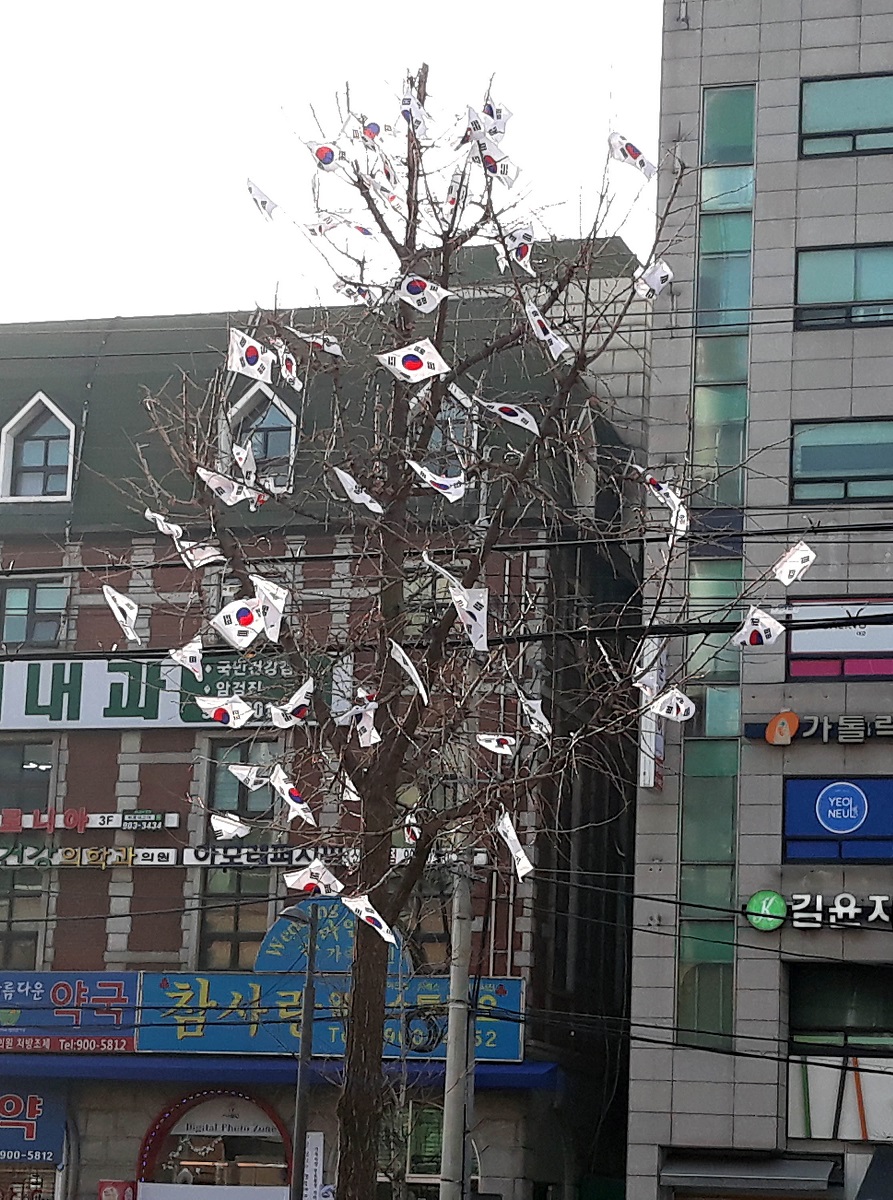 20190224_165747.jpg