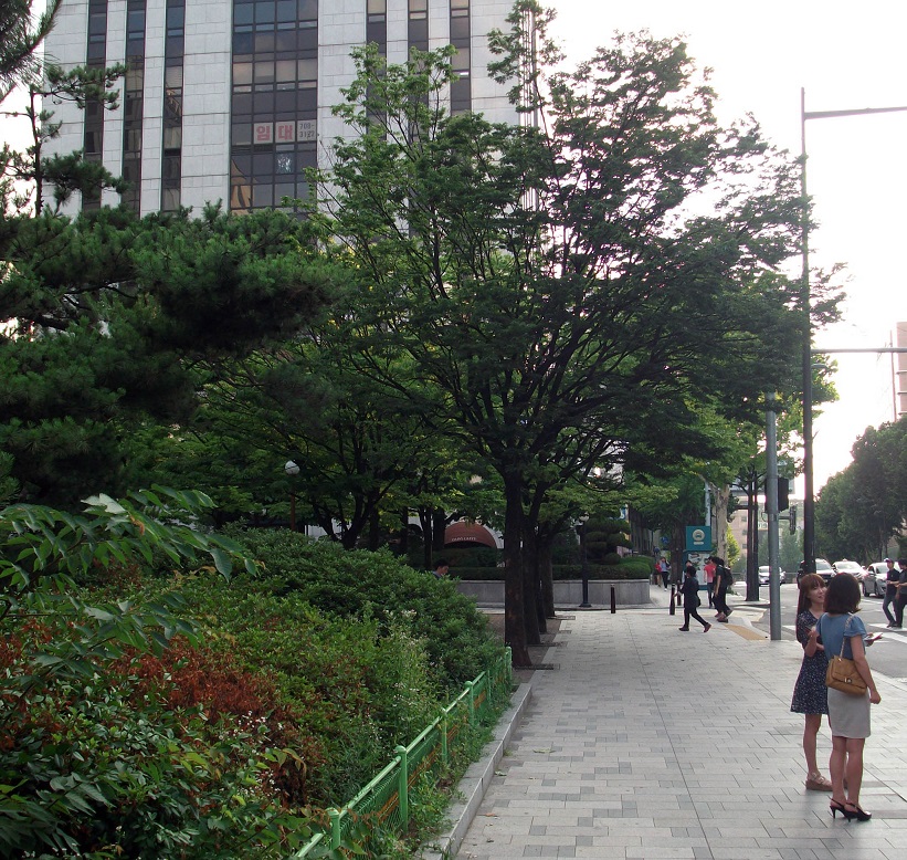 DSCF5265.JPG