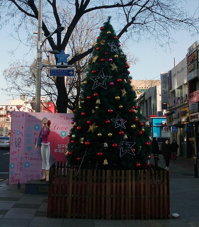 DSCF2806.JPG