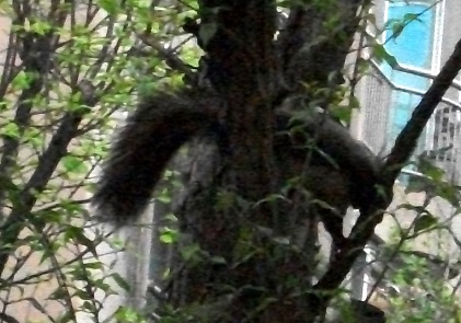 DSCF9159.JPG