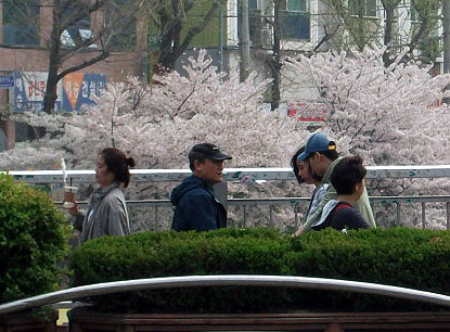 DSCF8715.JPG