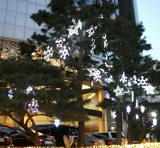 DSCF2811.JPG