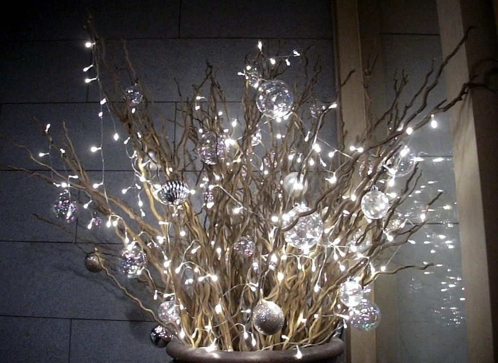 DSCF3719.JPG