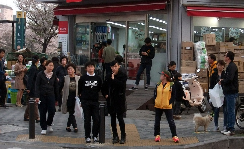 DSCF8720.JPG