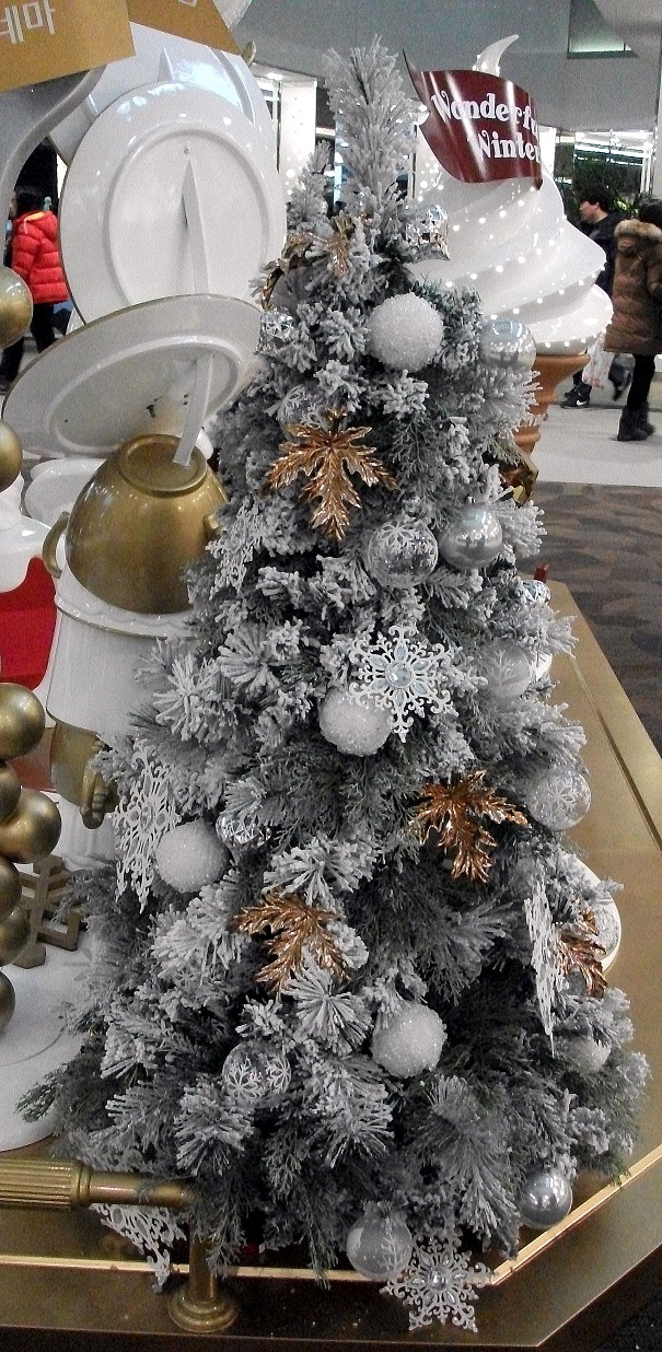 DSCF4647.JPG