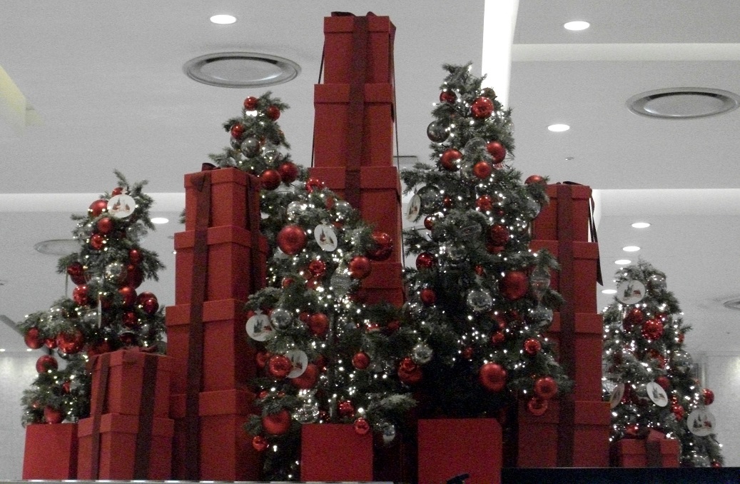 DSCF4645.JPG