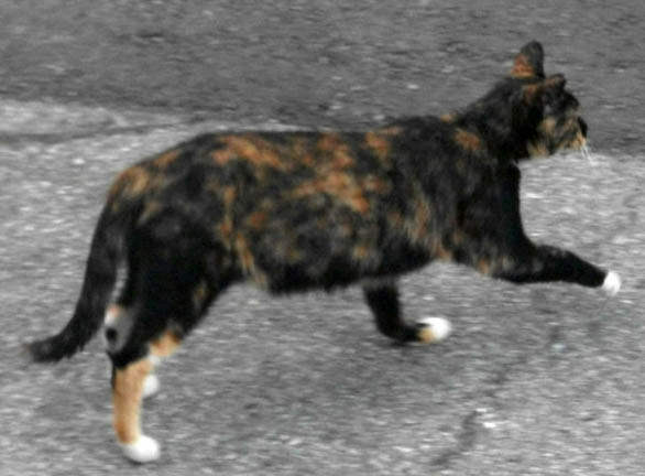 DSCF9072.JPG