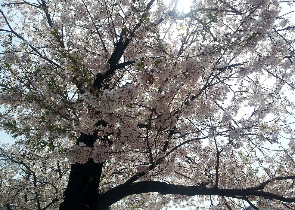 qweuioo (16).jpg