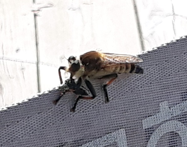 20200717_140641.jpg