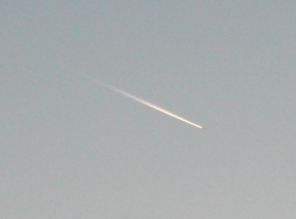 DSCF6596.JPG
