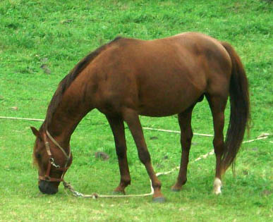 DSCF8997.JPG