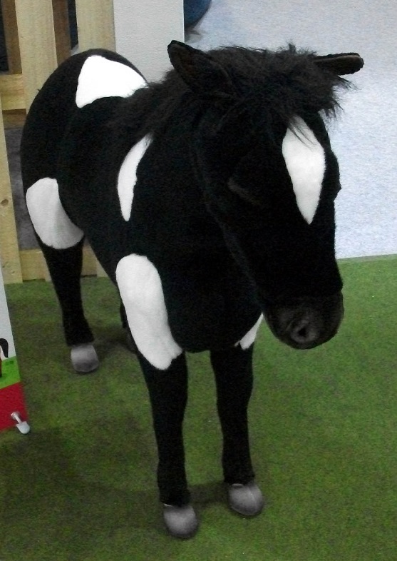 DSCF2296.JPG