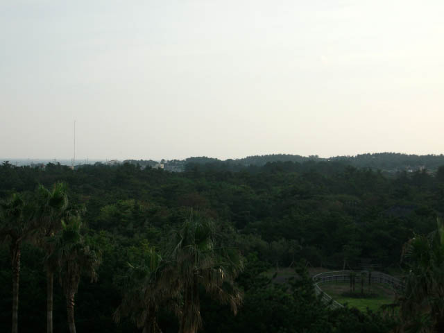 DSCF8858.JPG