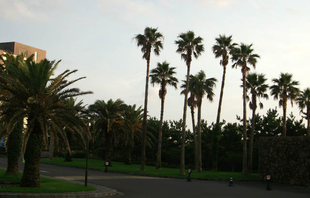 DSCF8861.JPG