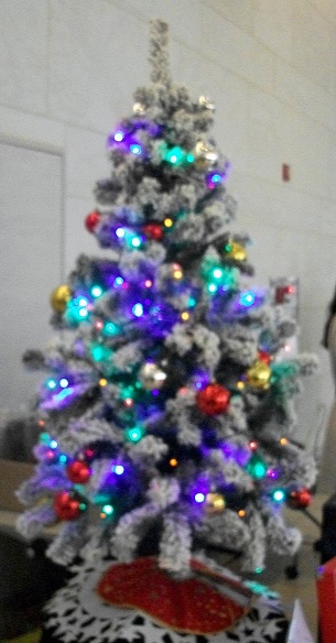 DSCF7590.JPG