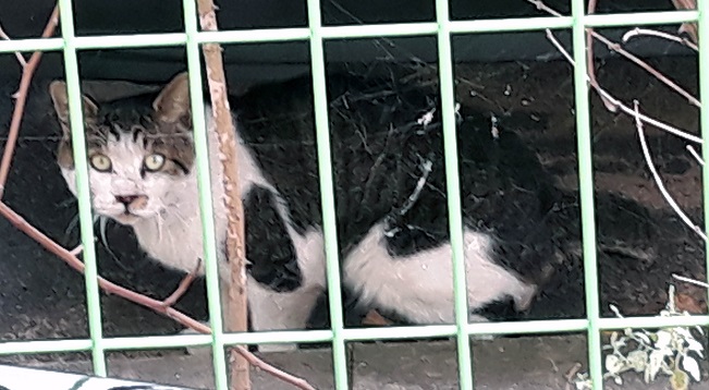 20181001_103730.jpg