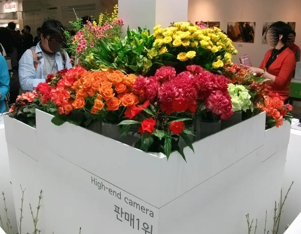 DSCF1006.JPG