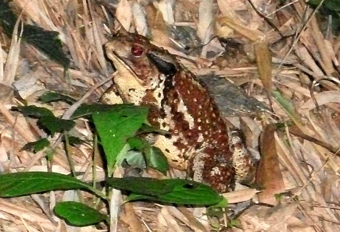 DSCF2743.JPG