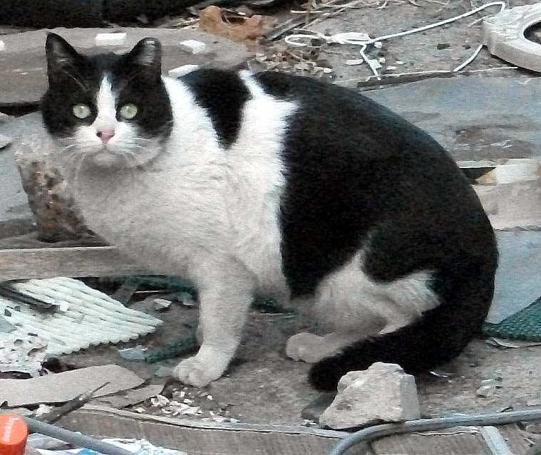 DSCF5023.JPG