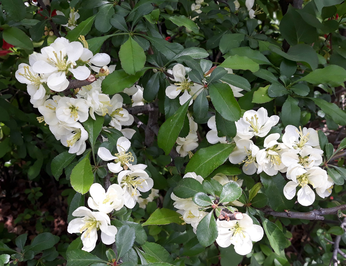 20190423_104217.jpg