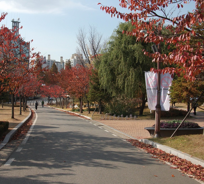 DSCF3481.JPG