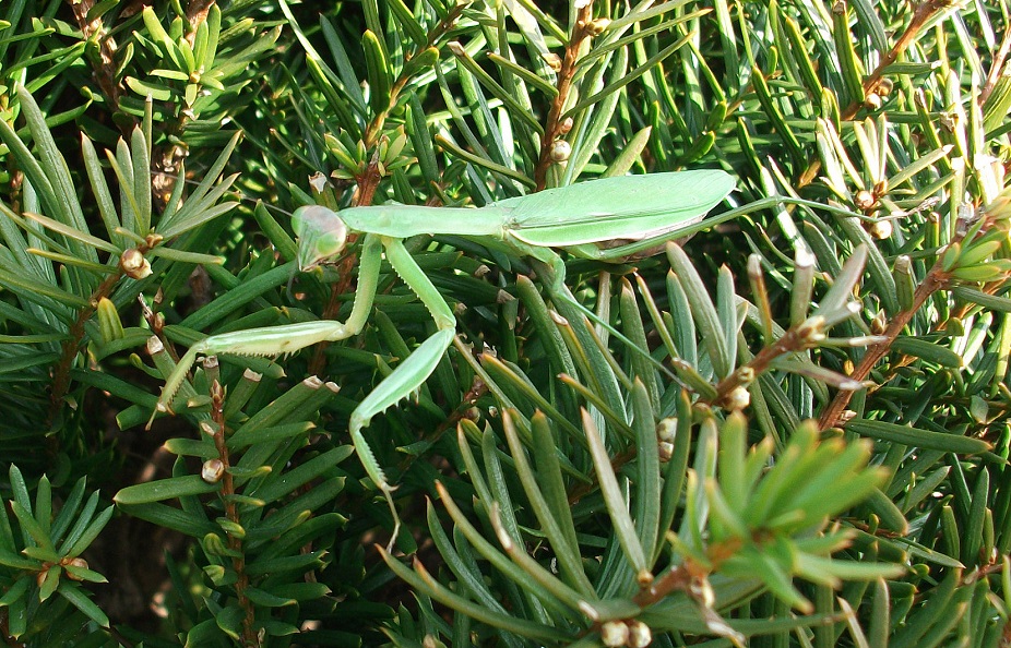 DSCF2539.JPG