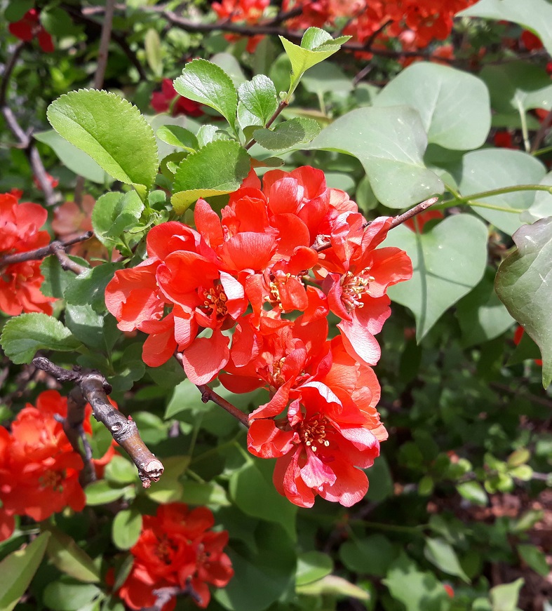 20190423_104224.jpg