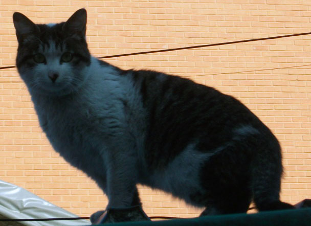 DSCF8394.JPG