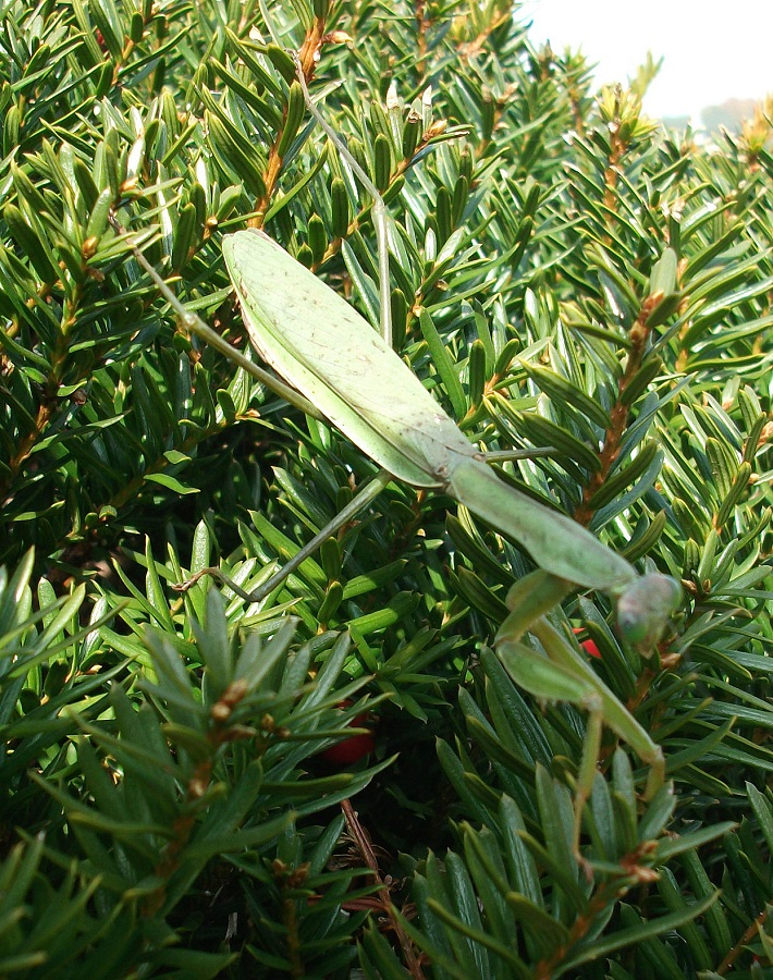 DSCF2541.JPG