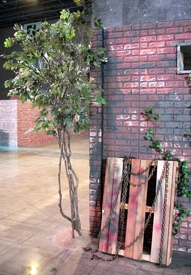 DSCF6369.JPG