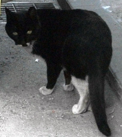 DSCF8399.JPG