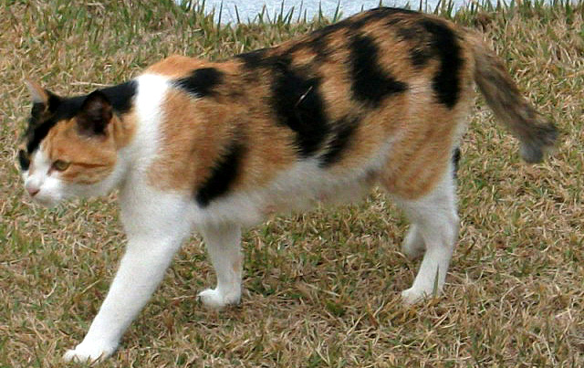 DSCF2450.JPG