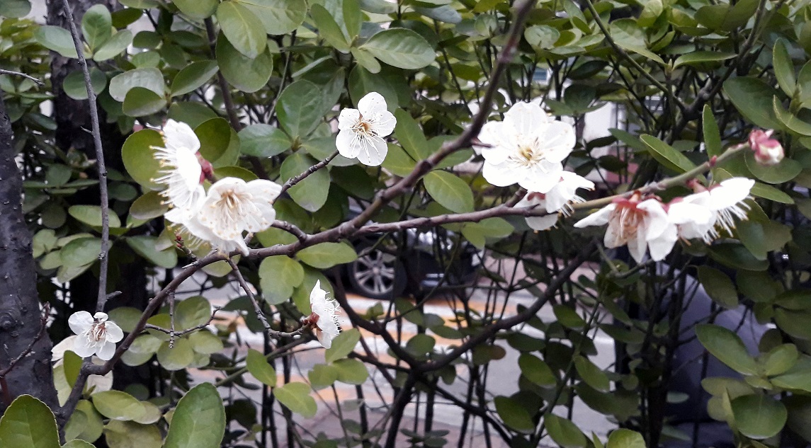 20190327_181341.jpg