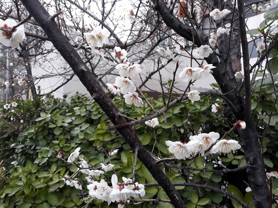 20190327_181336.jpg