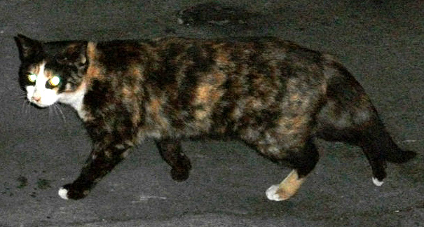 DSCF2528.JPG