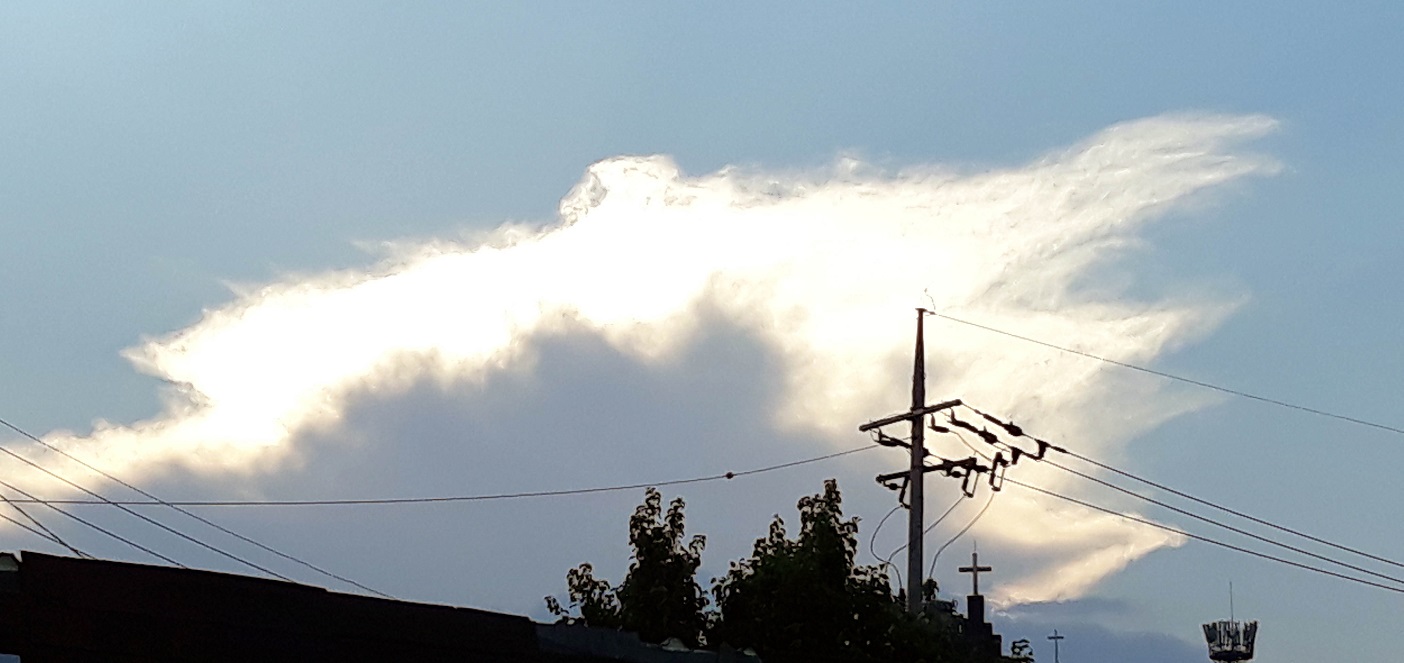 20190706_183642.jpg