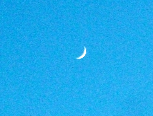 DSCF9244.JPG