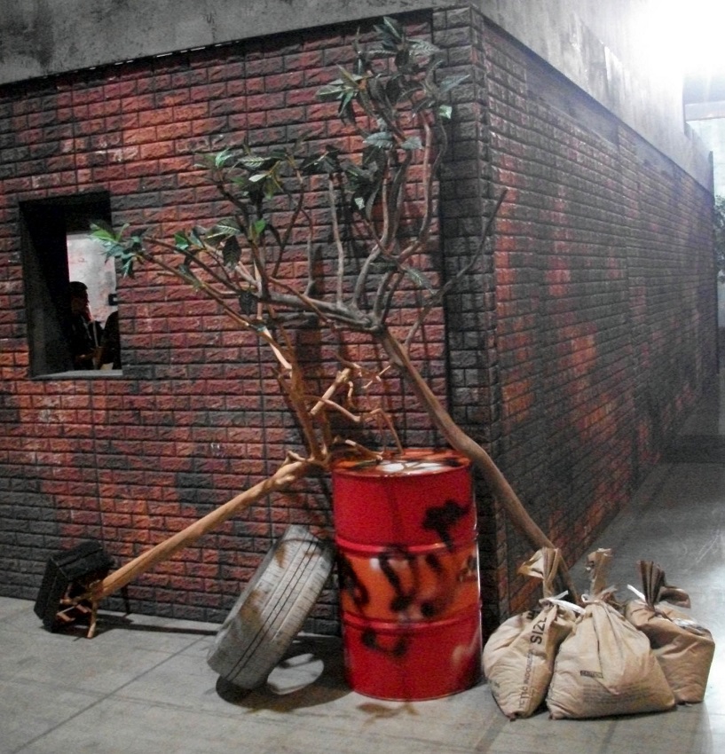 DSCF6614.JPG