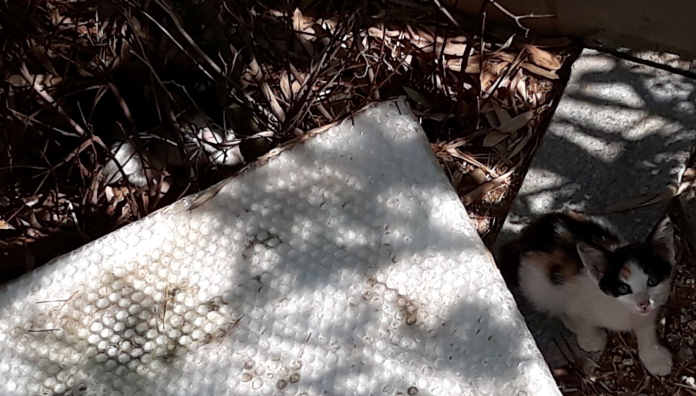 20180616_160534.jpg