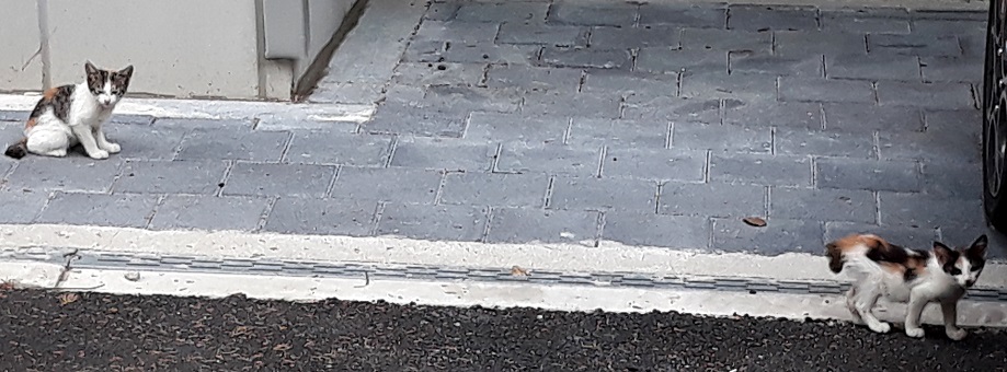 20180616_160301.jpg