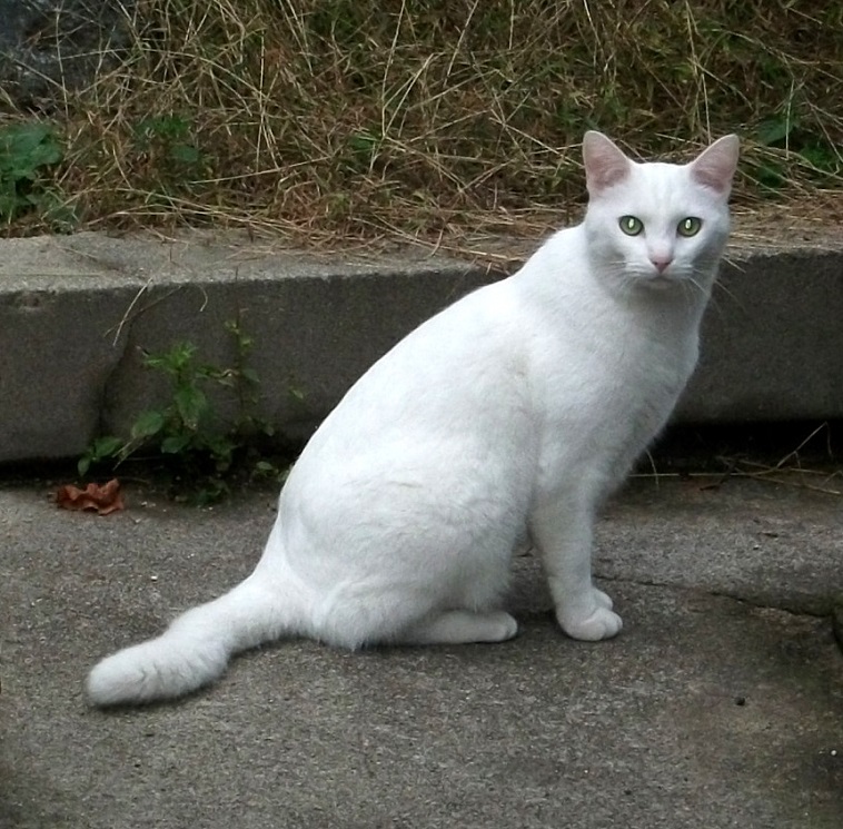 DSCF3042.JPG