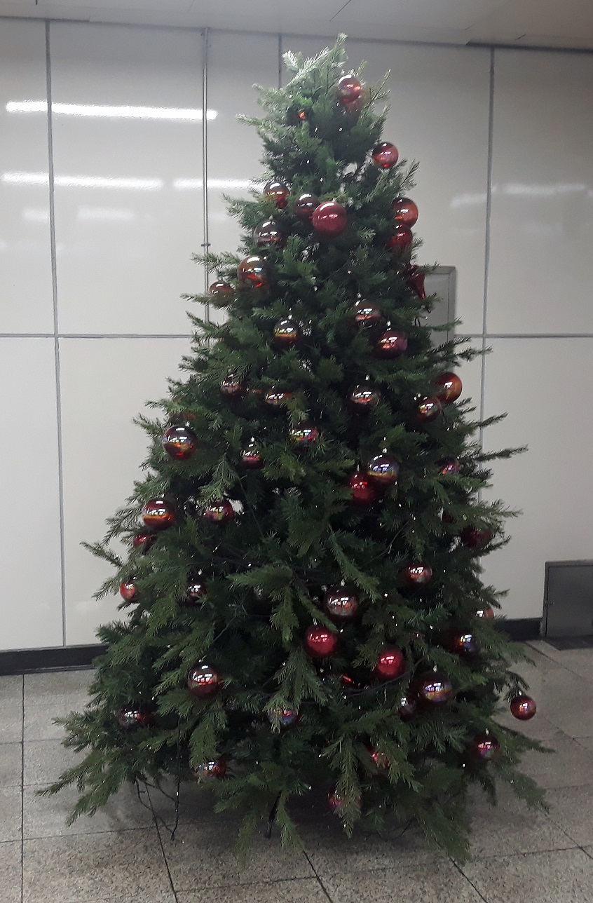 20191214_174456.jpg