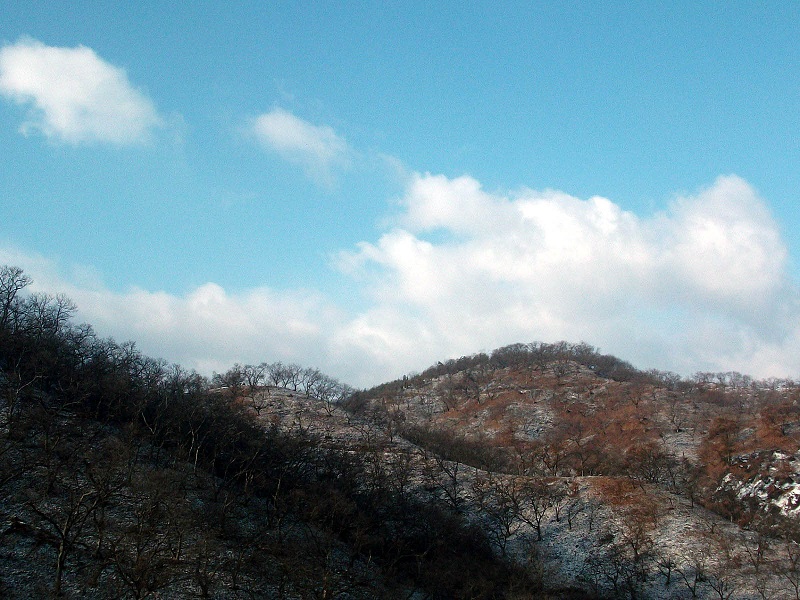 DSCF4261.JPG