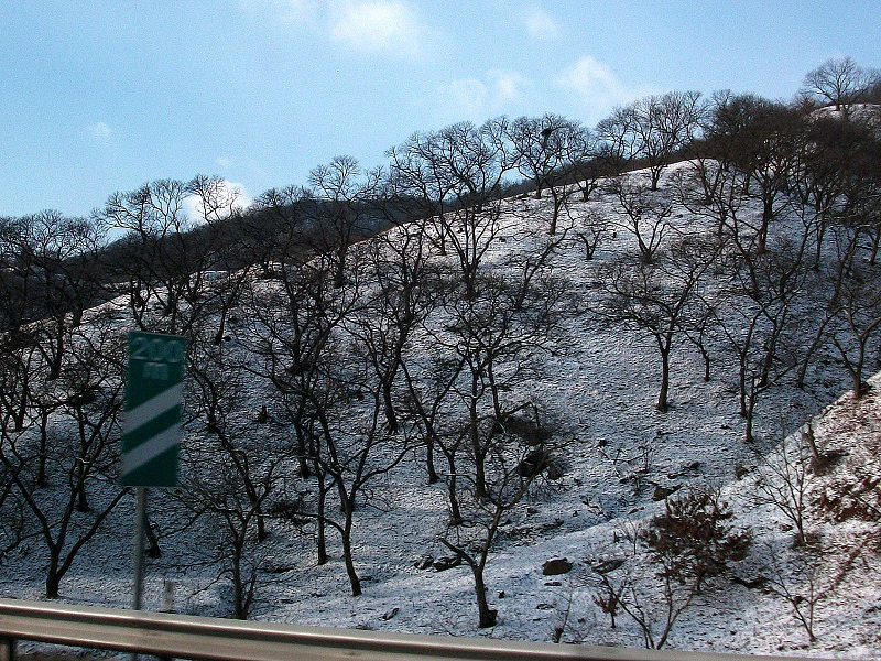 DSCF4259.JPG